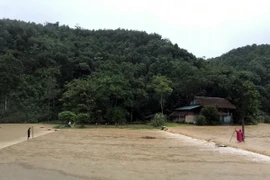 Mưa lớn gây ngập lụt ở huyện Yên Sơn, Tuyên Quang. (Ảnh: TTXVN phát)