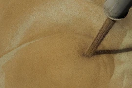 Hơn 700.000ha, trong đó có 600.000ha ngũ cốc, sẽ bị giảm sản lượng. (Ảnh: AFP/TTXVN)