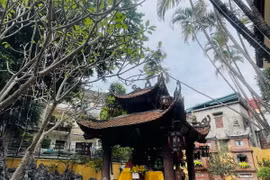 (Ảnh: Vietnam+)