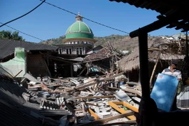 (Ảnh minh họa: TTXVN phát)