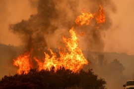 Khói lửa bốc lên từ các đám cháy rừng ở California. (Ảnh: AFP/TTXVN)