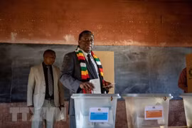 Tổng thống Zimbabwe bỏ phiếu tại điểm bầu cử ở Kwekwe ngày 30/7. (Nguồn: EFE-EPA/TTXVN)