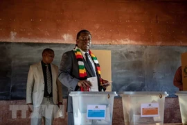 Tổng thống Zimbabwe bỏ phiếu tại điểm bầu cử ở Kwekwe ngày 30/7. (Nguồn: EFE-EPA/TTXVN)