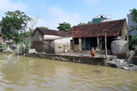 Mưa lũ gây ngập tại Thanh Hóa. (Ảnh: Hoa Mai/TTXVN)