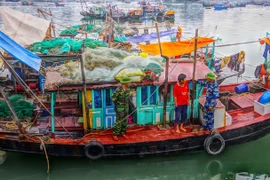 Tàu vi phạm bị tạm giữ. (Ảnh: TTXVN phát)