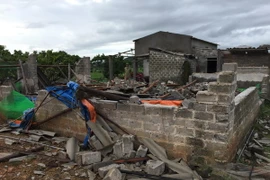 (Ảnh minh họa: Mạnh Tú/TTXVN)