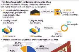 Hàng nghìn container rác nhập khẩu tồn đọng tại các cảng Việt Nam