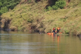 (Ảnh minh họa: Nguyễn Văn Việt/TTXVN)