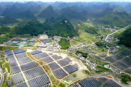 Các tấm pin năng lượng mặt trời tại Quý Châu, Trung Quốc ngày 10/6/2017. (Nguồn: AFP/TTXVN)