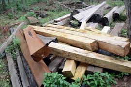 (Ảnh minh họa: Hưng Thịnh/TTXVN)