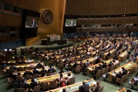 (Ảnh minh họa: AFP/TTXVN)