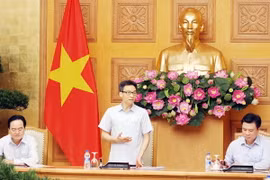 Phó Thủ tướng Chính phủ Vũ Đức Đam phát biểu. (Ảnh: Nguyễn Dân/TTXVN)