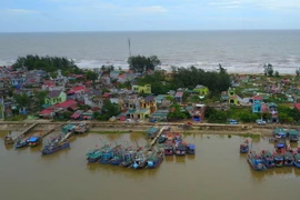 (Ảnh minh họa: Thành Đạt/TTXVN)