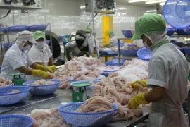 Chế biến cá tra xuất khẩu. (Ảnh: Minh Trí/TTXVN)