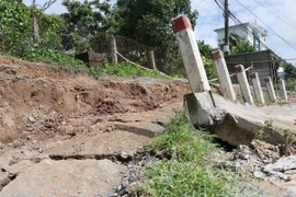 (Ảnh minh họa: Công Mạo/TTXVN)