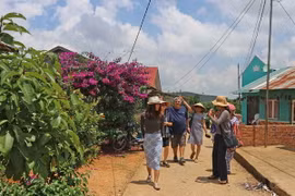 Những buôn làng K'Ho trở thành điểm đến mới lạ với du khách khi tới Lâm Đồng. (Ảnh: Nguyễn Dũng/TTXVN)