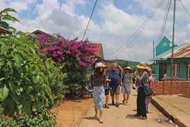 Những buôn làng K'Ho trở thành điểm đến mới lạ với du khách khi tới Lâm Đồng. (Ảnh: Nguyễn Dũng/TTXVN)