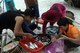 (Ảnh minh họa: Tuấn Anh/TTXVN)