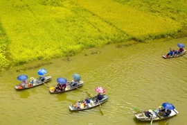 Du khách đến với Ninh Bình. (Ảnh: Minh Đức/TTXVN)