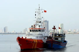 (Ảnh minh họa: Trần Lê Lâm/TTXVN)