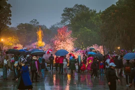 (Ảnh minh họa: Trọng Đạt/TTXVN)