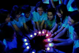 (Ảnh minh họa: An Hiếu/TTXVN)