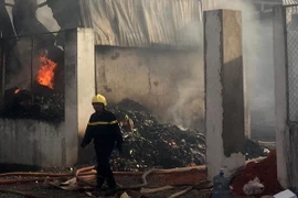 Hải Phòng: Huy động lực lượng dập tắt đám cháy nguy cơ lan rộng