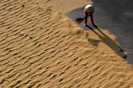 (Ảnh minh họa: Duy Khương/TTXVN)