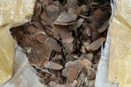 Vảy tê tê nhập lậu. (Ảnh minh họa: TTXVN phát)