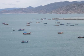 (Ảnh minh họa: Nguyễn Thành/TTXVN)