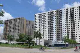 (Ảnh minh họa: Hoàng Hải/TTXVN)