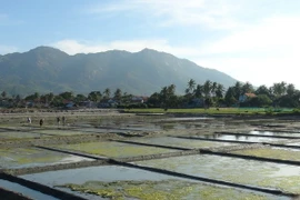 (Ảnh minh họa: Nguyên Lý/TTXVN)