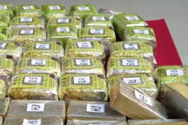 (Ảnh minh họa: Văn Đạt/TTXVN)