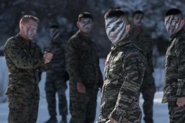 Lính thủy đánh bộ Mỹ và Hàn Quốc tham gia cuộc tập trận tại Pyeongchang ngày 24/1. (Nguồn: EPA/TTXVN)