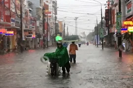 (Ảnh minh họa: Quốc Việt/TTXVN)