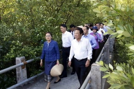 Đoàn đại biểu cấp cao Quốc hội nước CHDCND Lào tham quan rừng ngập mặn tại Khu Ramsar thế giới (xã Đất Mũi, huyện Ngọc Hiển, tỉnh Cà Mau). (Ảnh: Kim Há/TTXVN)