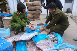 Lực lượng chức năng đã thu giữ hơn 1 tấn thực phẩm đã quá hạn sử dụng. (Ảnh: Minh Sơn/Vietnam+)