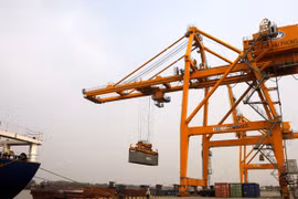 Hải quan chính thức công nhận thêm 8 doanh nghiệp ưu tiên