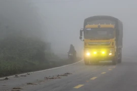 Ảnh chỉ có tính minh họa. (Ảnh: Công Luật/TTXVN)