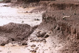 Ảnh chỉ có tính minh họa. (Ảnh: Nam Thái/TTXVN)