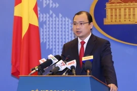 Người phát ngôn Bộ Ngoại giao Lê Hải Bình. (Ảnh: Phạm Kiên/TTXVN)
