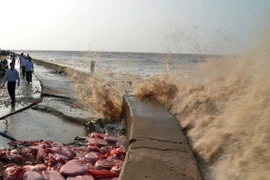 Sóng biển đánh mạnh khiến kè Gành Hào có nguy cơ tiếp tục sạt lở. (Ảnh: Nguyễn Thanh Liêm/TTXVN)