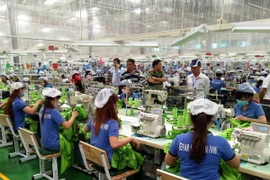 Ảnh chỉ có tính minh họa. (Ảnh: Dương Chí Tưởng/TTXVN)