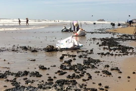 Ảnh chỉ có tính minh họa. (Ảnh: Đoàn Mạnh Dương/TTXVN)