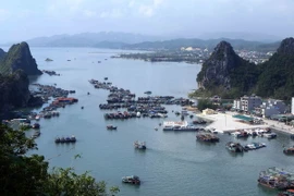Vịnh Hạ Long. (Ảnh: Minh Quyết/TTXVN)