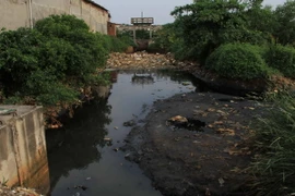 Ảnh chỉ có tính minh họa. (Ảnh: Xuân Tiến/TTXVN)