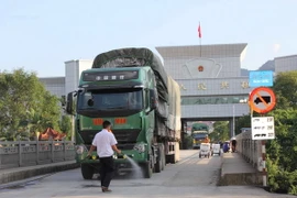 Phun thuốc khử trùng cho các phương tiện xuất nhập khẩu hàng hóa qua cửa khẩu quốc tế Tà Lùng, huyện Phục Hòa. (Ảnh: Quân Trang/TTXVN)