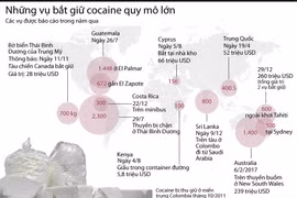 [Infographics] Điểm mặt các vụ bắt giữ cocaine lớn trong năm qua