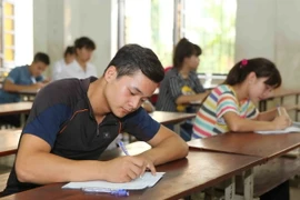 Ảnh chỉ có tính minh họa. (Ảnh: Quý Trung/TTXVN)