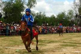 Ngựa bứt tốc để về đích. (Ảnh: Xuân Triệu/TTXVN)